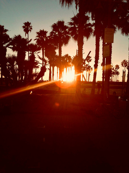 Sunset at the beach, the sun shining through rows of palm trees made silhouettes by the slanting light.